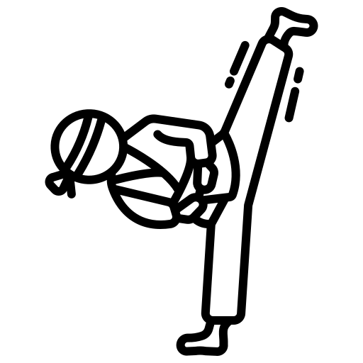 Ícone Taekwondo